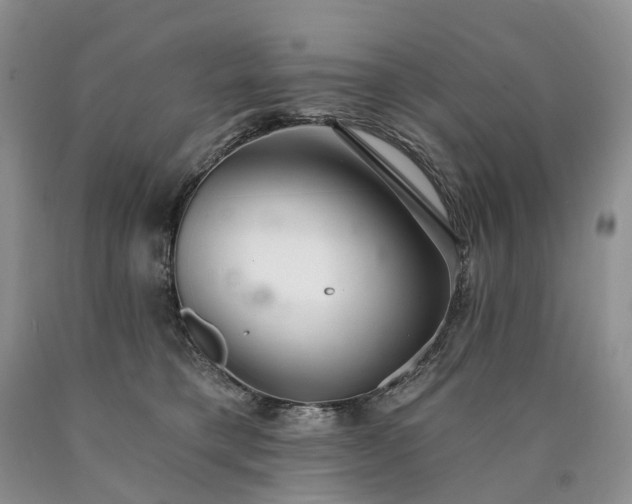 X0000090460421200707201338