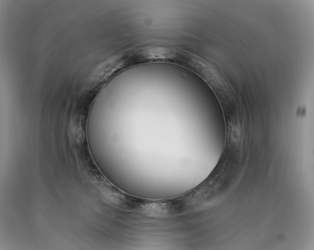 X0000090460422200707201338
