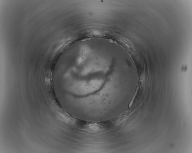X0000090460423200707201338