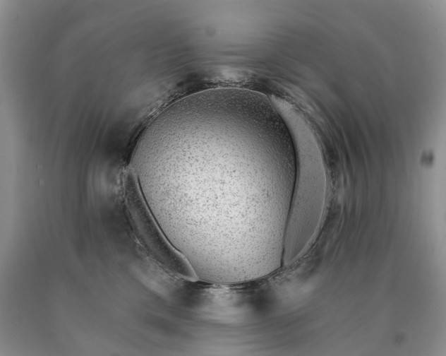 X0000090460425200707201338