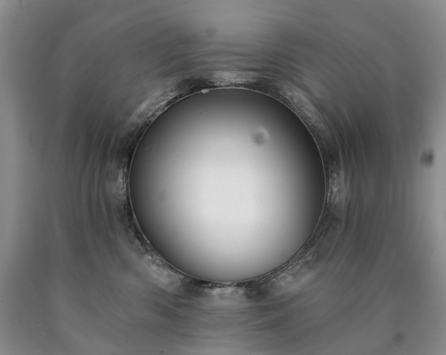 X0000090460426200707201338