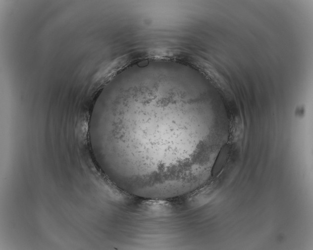 X0000090460427200707201338