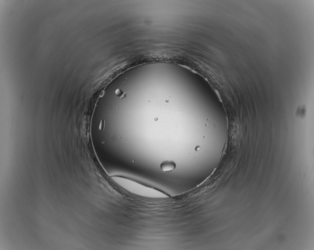 X0000090460428200707201338