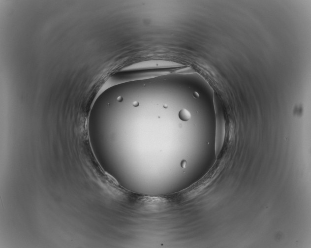 X0000090460429200707201338
