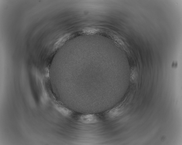 X0000090460431200707201338