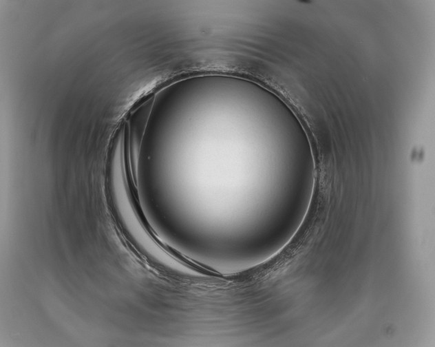 X0000090460434200707201337