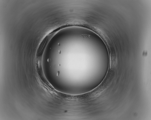 X0000090460435200707201337
