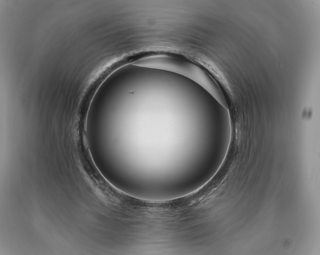 X0000090460436200707201337