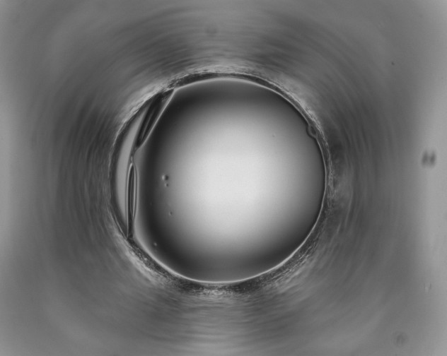 X0000090460437200707201337