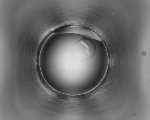 X0000090460438200707201337