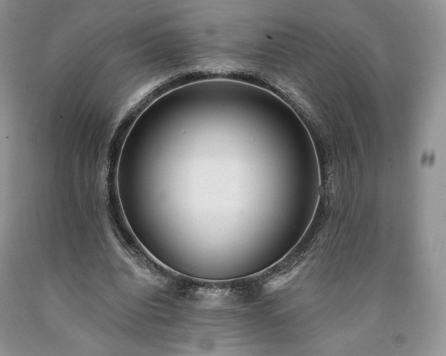 X0000090460440200707201337