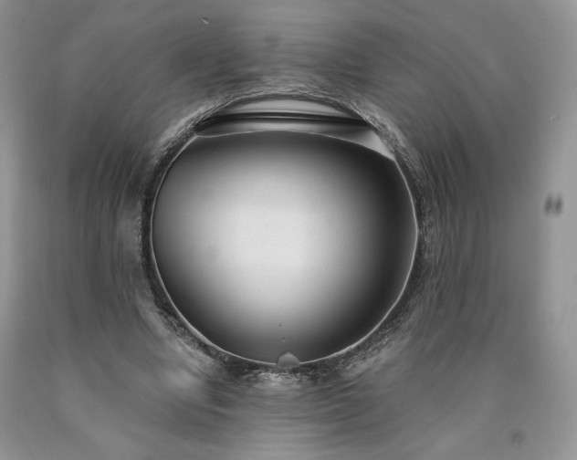 X0000090460442200707201337