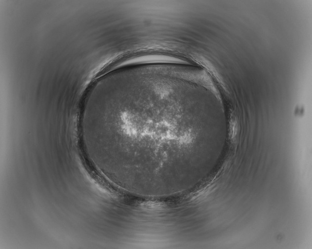 X0000090460444200707201337