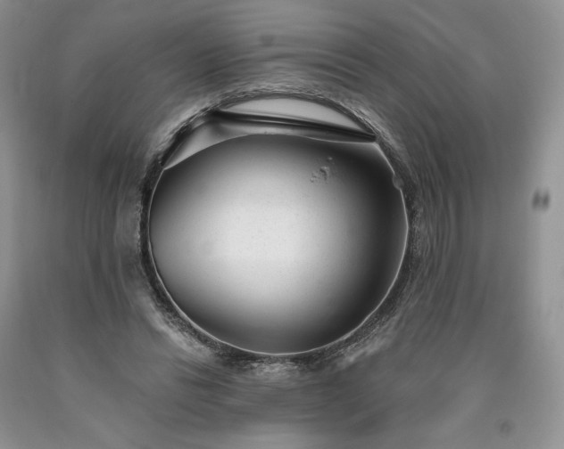 X0000090460446200707201337