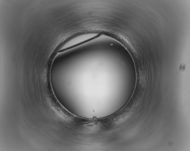 X0000090460447200707201337