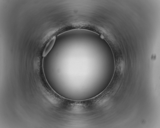 X0000090460448200707201337