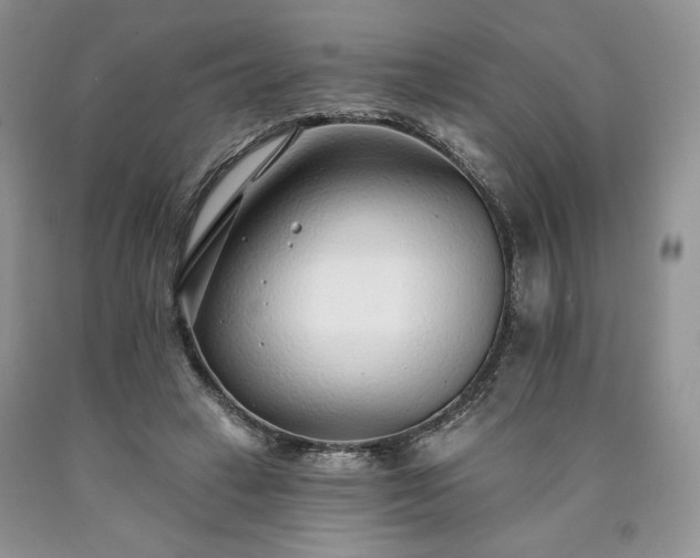 X0000090460449200707201337