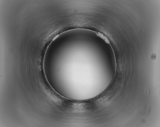 X0000090460450200707201337