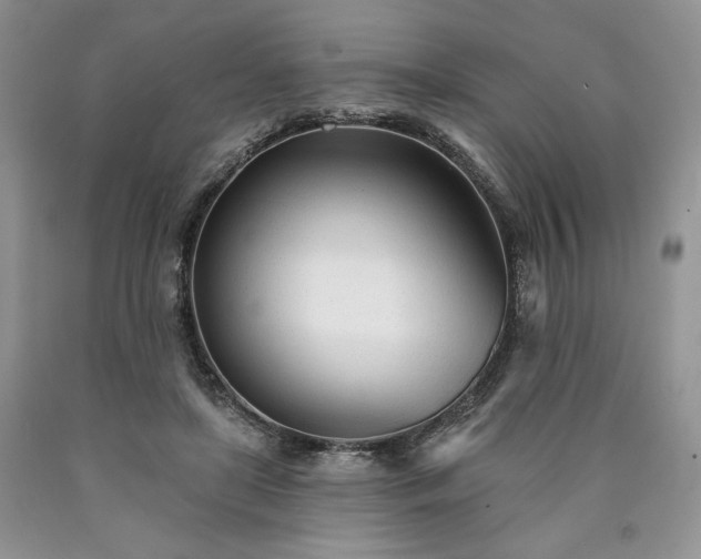X0000090460451200707201337