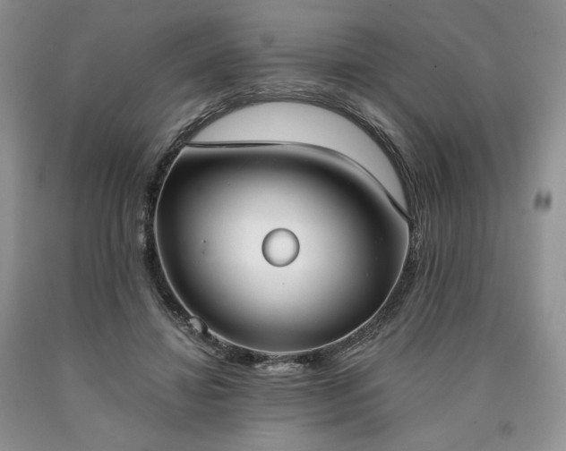 X0000090460452200707201337
