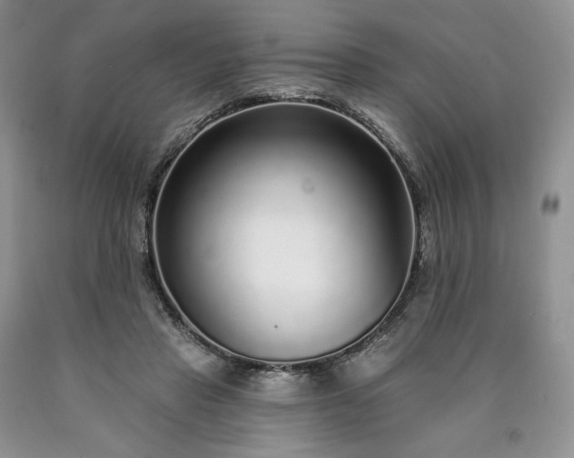 X0000090460453200707201337
