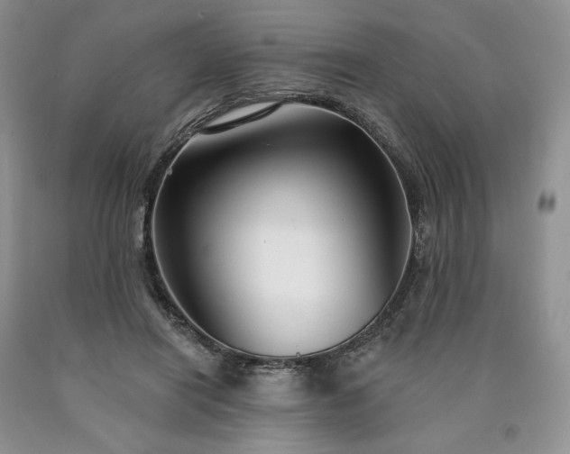 X0000090460454200707201337