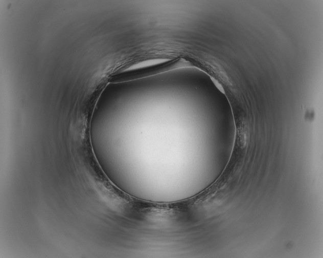 X0000090460458200707201337
