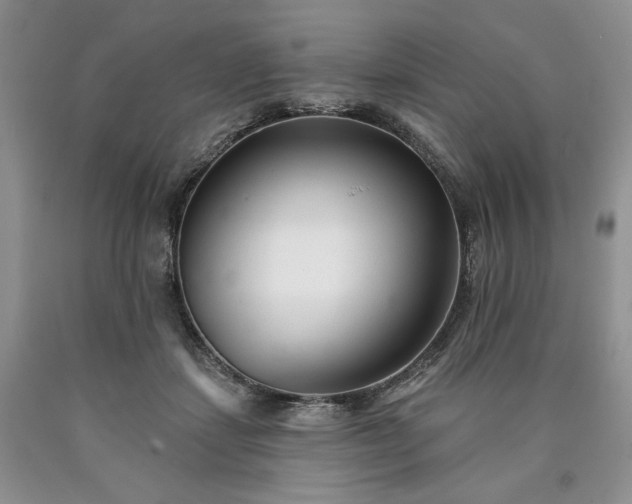 X0000090460459200707201337