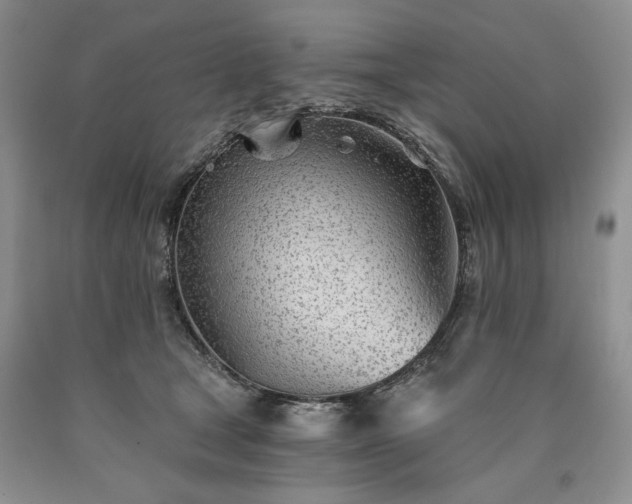 X0000090460465200707201337
