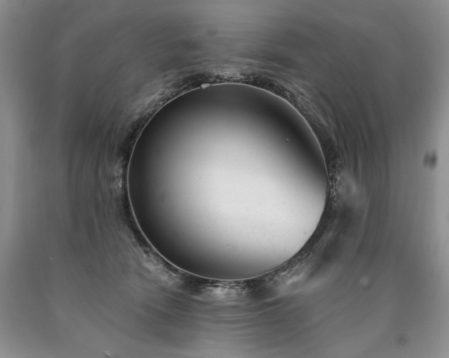 X0000090460466200707201337