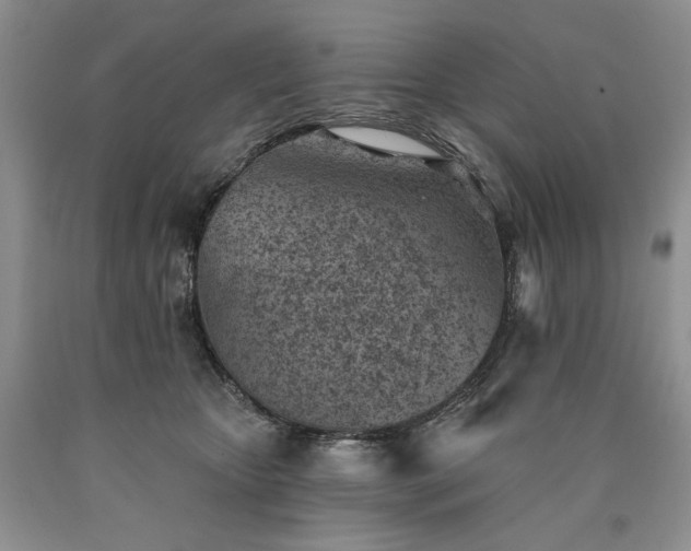 X0000090460467200707201337