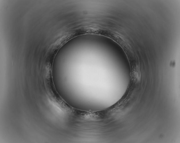 X0000090460468200707201337