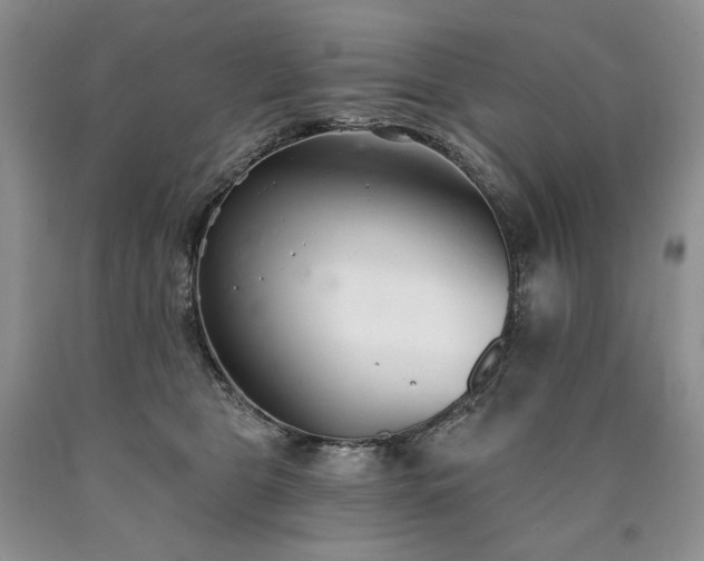 X0000090460469200707201337