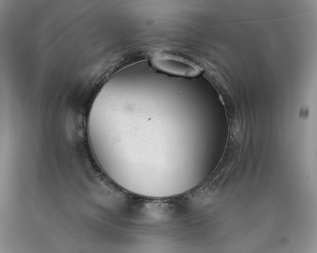 X0000090460470200707201338