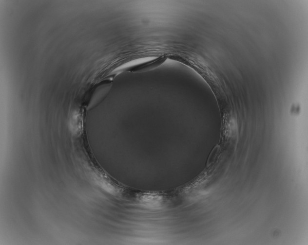 X0000090460471200707201338