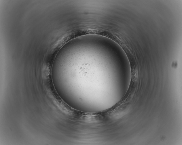 X0000090460472200707201338