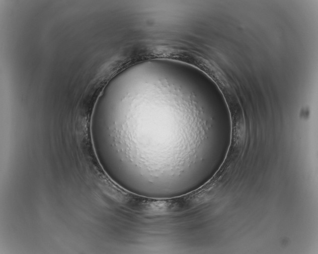 X0000090460473200707201338