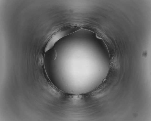 X0000090460474200707201338
