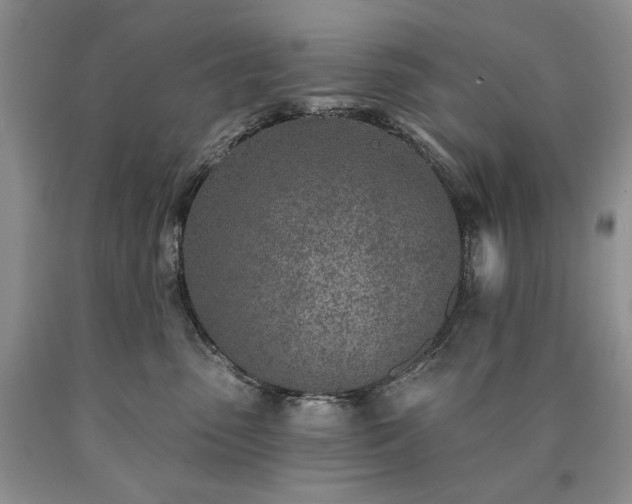 X0000090460475200707201338