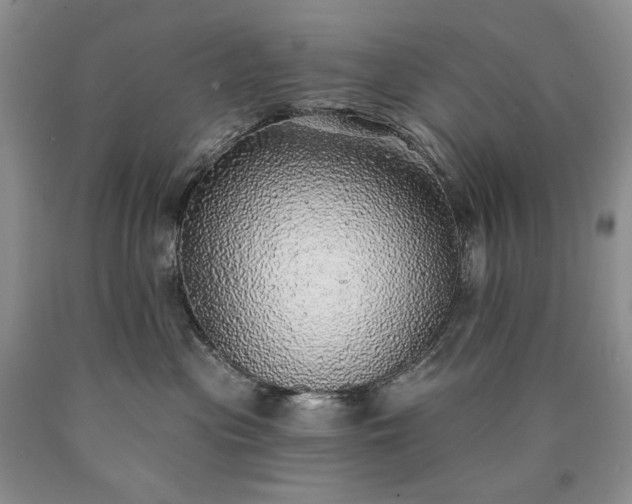 X0000090460477200707201338