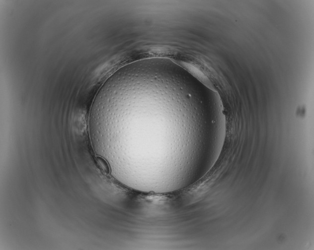 X0000090460478200707201338
