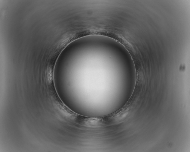 X0000090460479200707201338