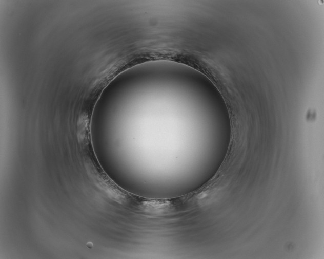 X0000090460480200707201338