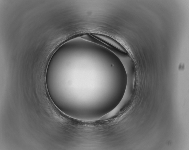X0000090460481200707201337