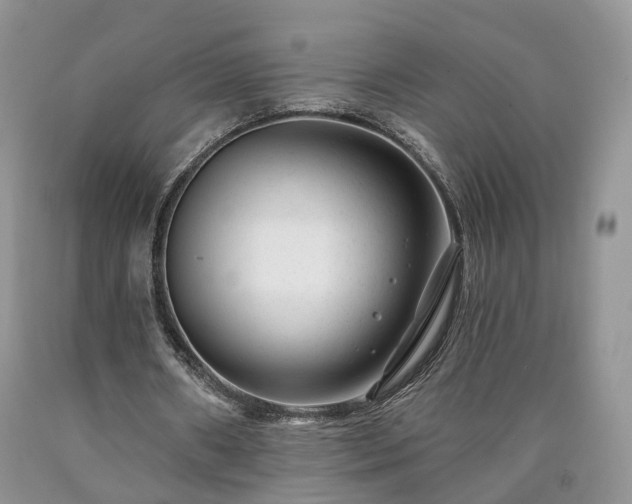 X0000090460482200707201337