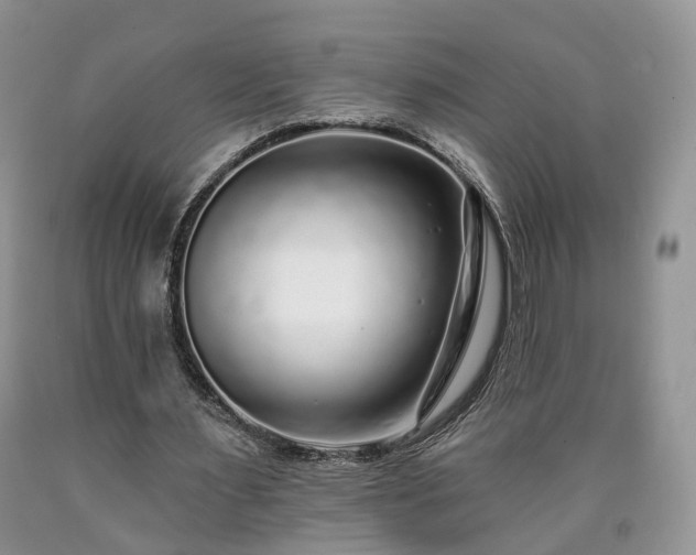X0000090460483200707201337