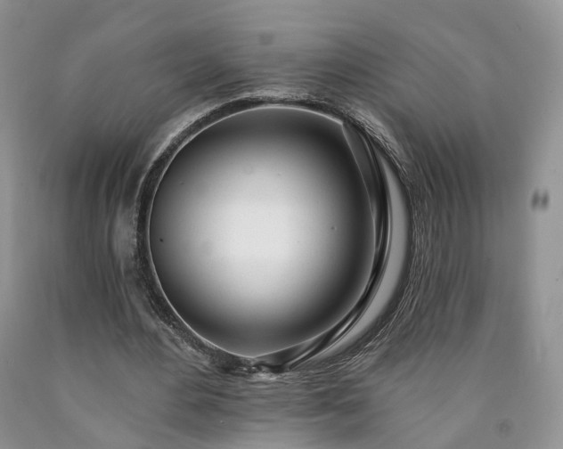 X0000090460484200707201337