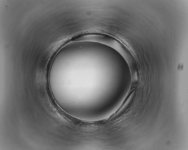 X0000090460485200707201337