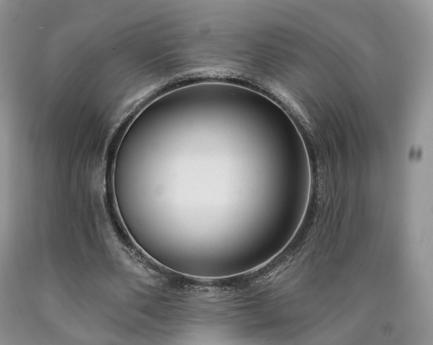 X0000090460486200707201337