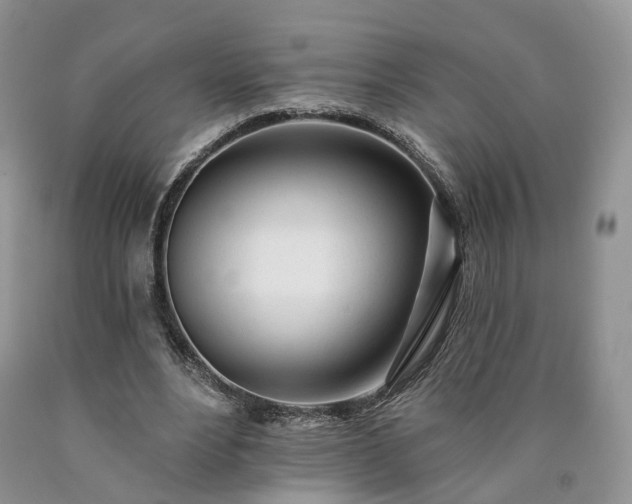 X0000090460488200707201337